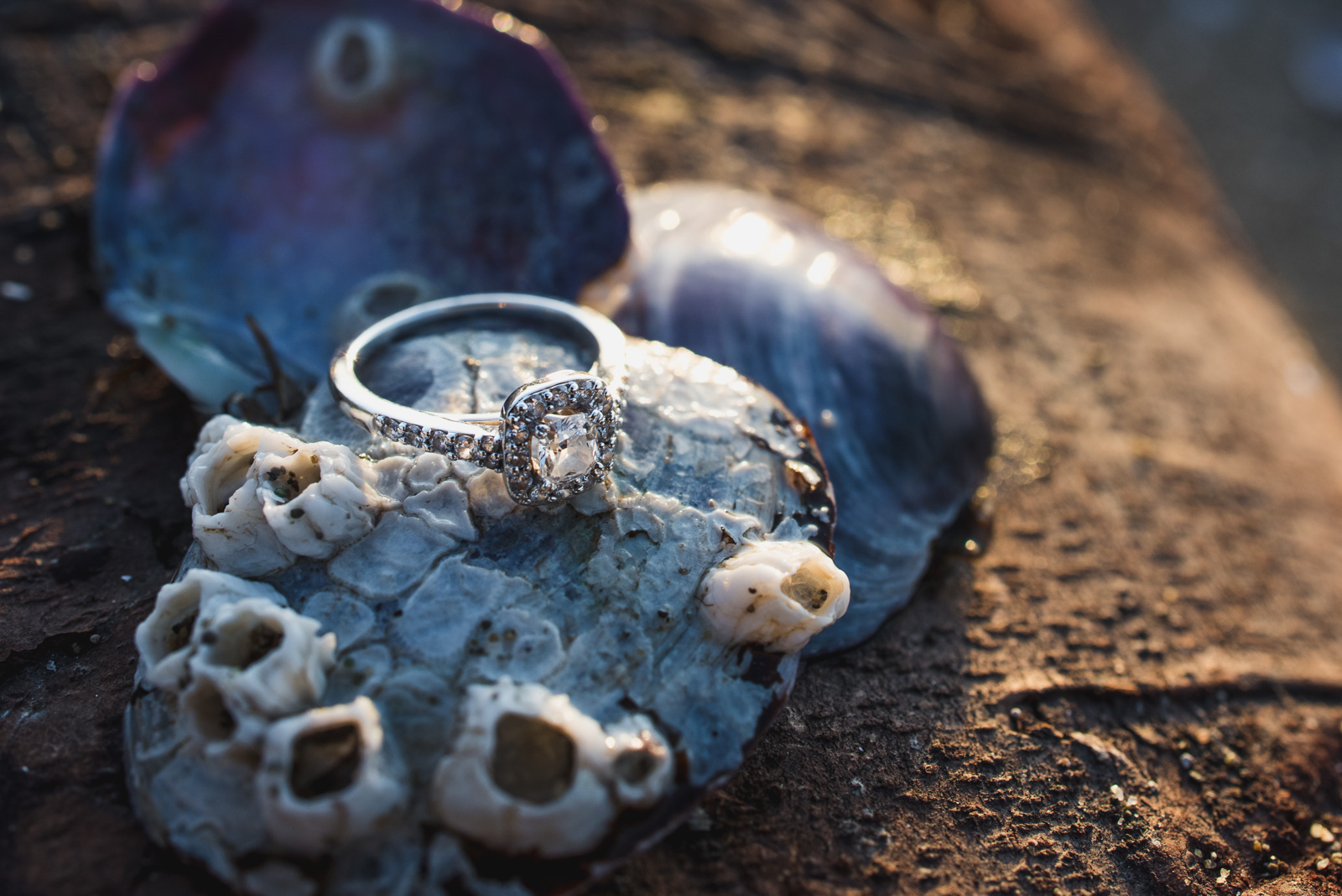 vancouver-island-wedding-photographers-jericho-beach-engagement-15.jpg