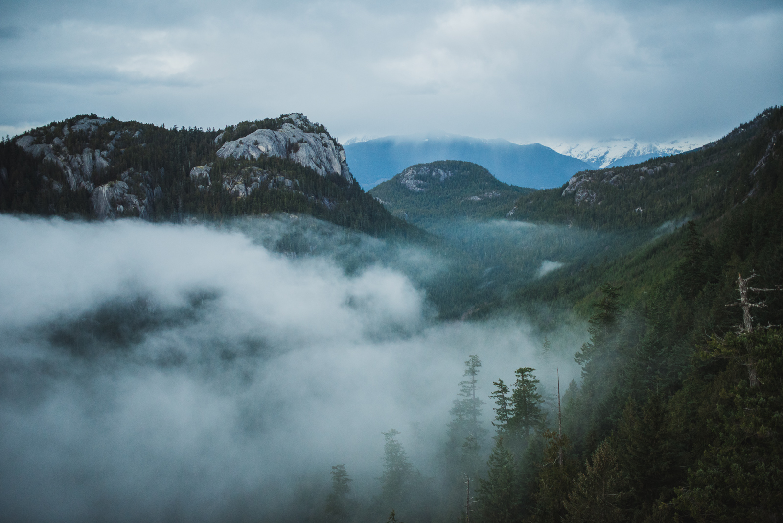 victoria-wedding-photographers-sea-to-sky-gondola-engagement-27.jpg