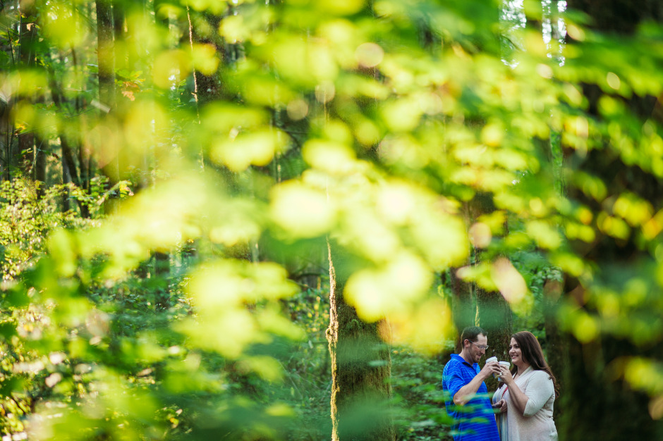 bc-wedding-photographers-campbell-valley-park-engagement-1.jpg