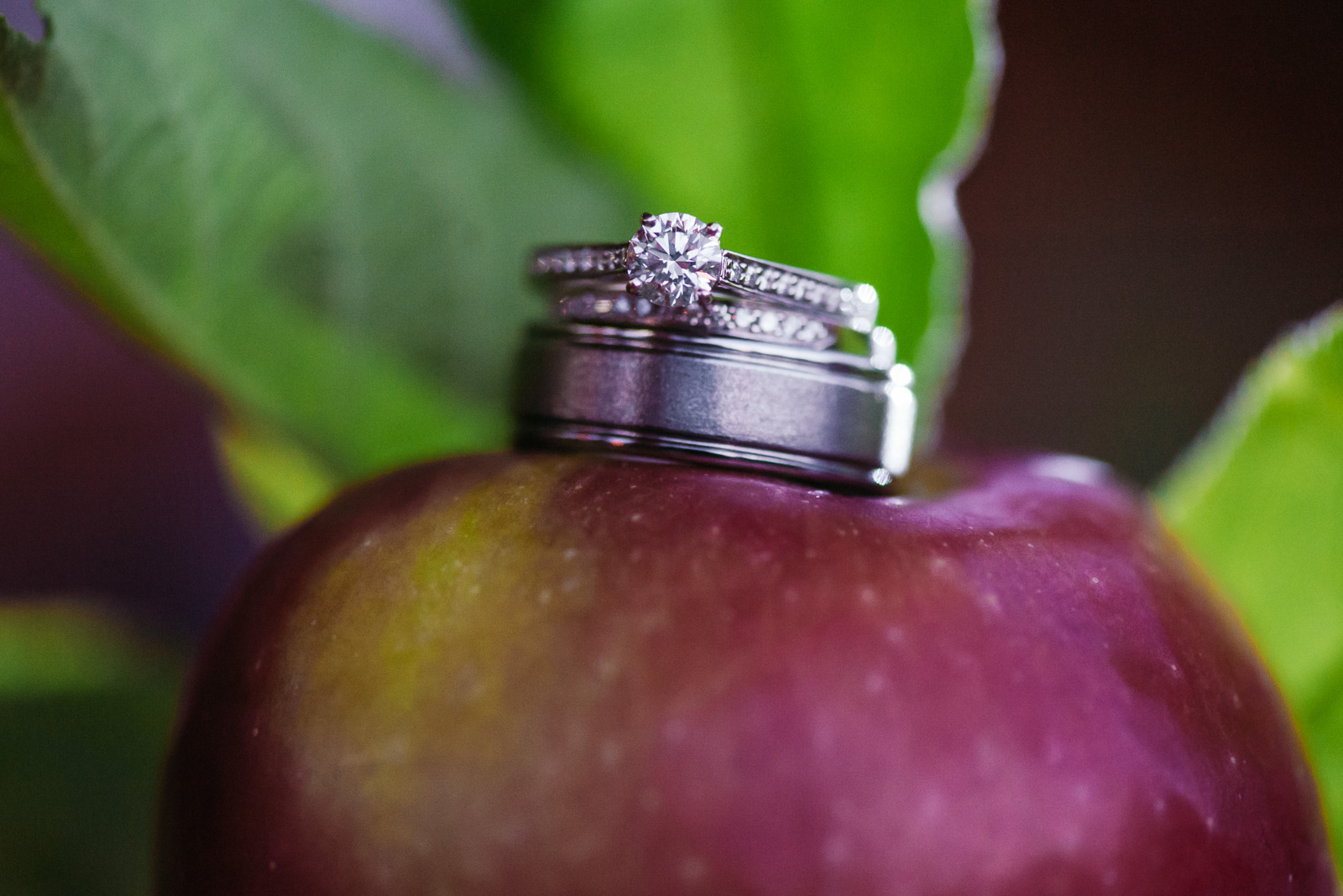 victoria-wedding-photographers-sunny-merridale-cidery-wedding-2.jpg