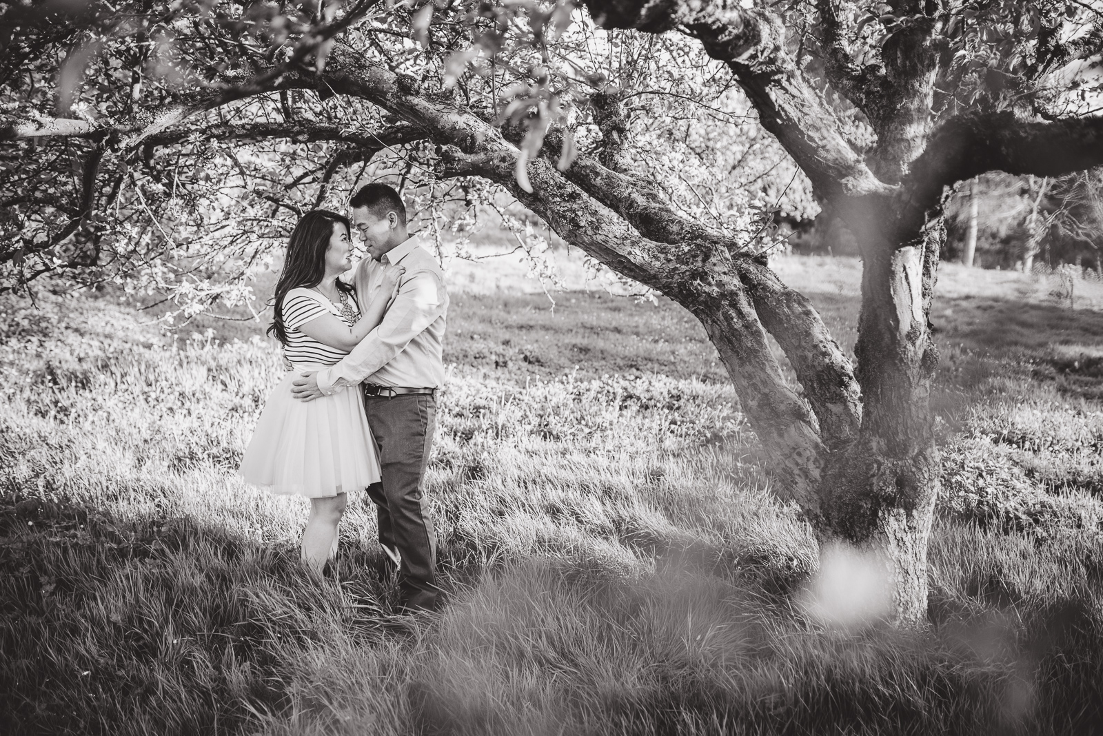 vancouver-island-wedding-photographers-terra-nova-park-engagement-richmond-05.jpg