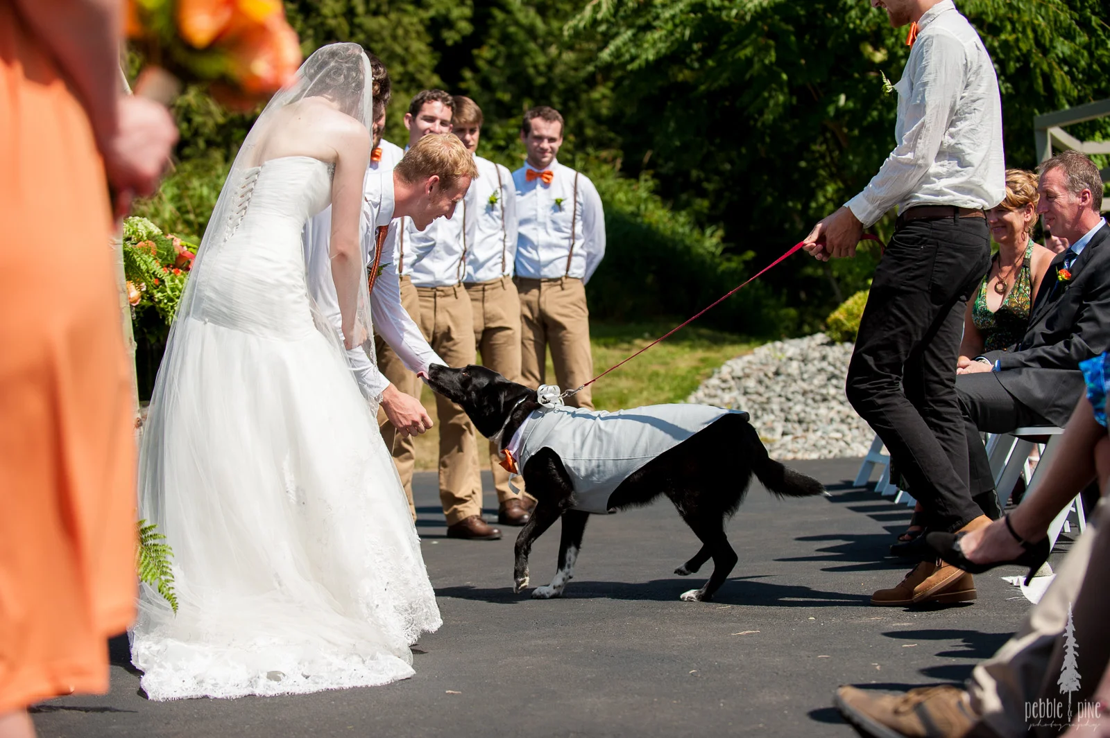vancouver-island-wedding-photographers-golden-eagle-golf-course-wedding-mountaintop-wedding-20.jpg
