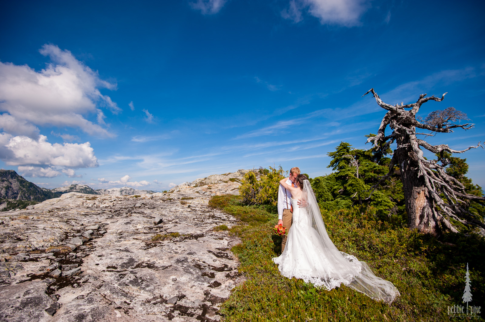 vancouver-island-wedding-photographers-golden-eagle-golf-course-wedding-mountaintop-wedding-41.jpg