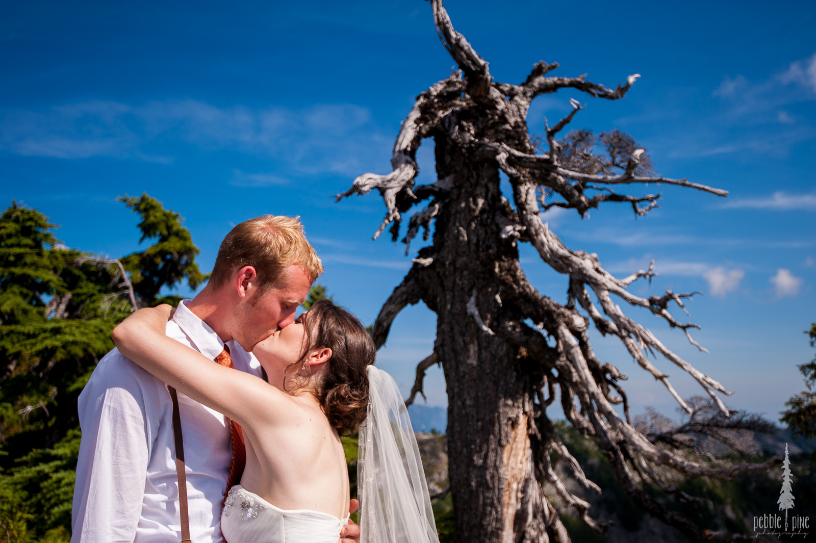 vancouver-island-wedding-photographers-golden-eagle-golf-course-wedding-mountaintop-wedding-42.jpg