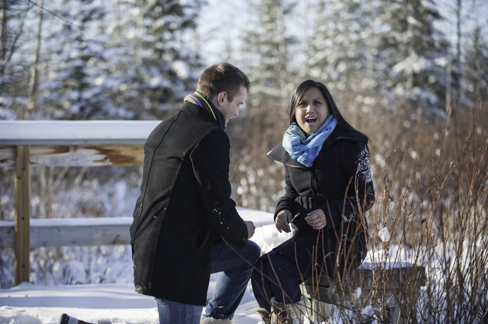 victoria-wedding-photographers-calgary-winter-engagement-proposal-13.jpg