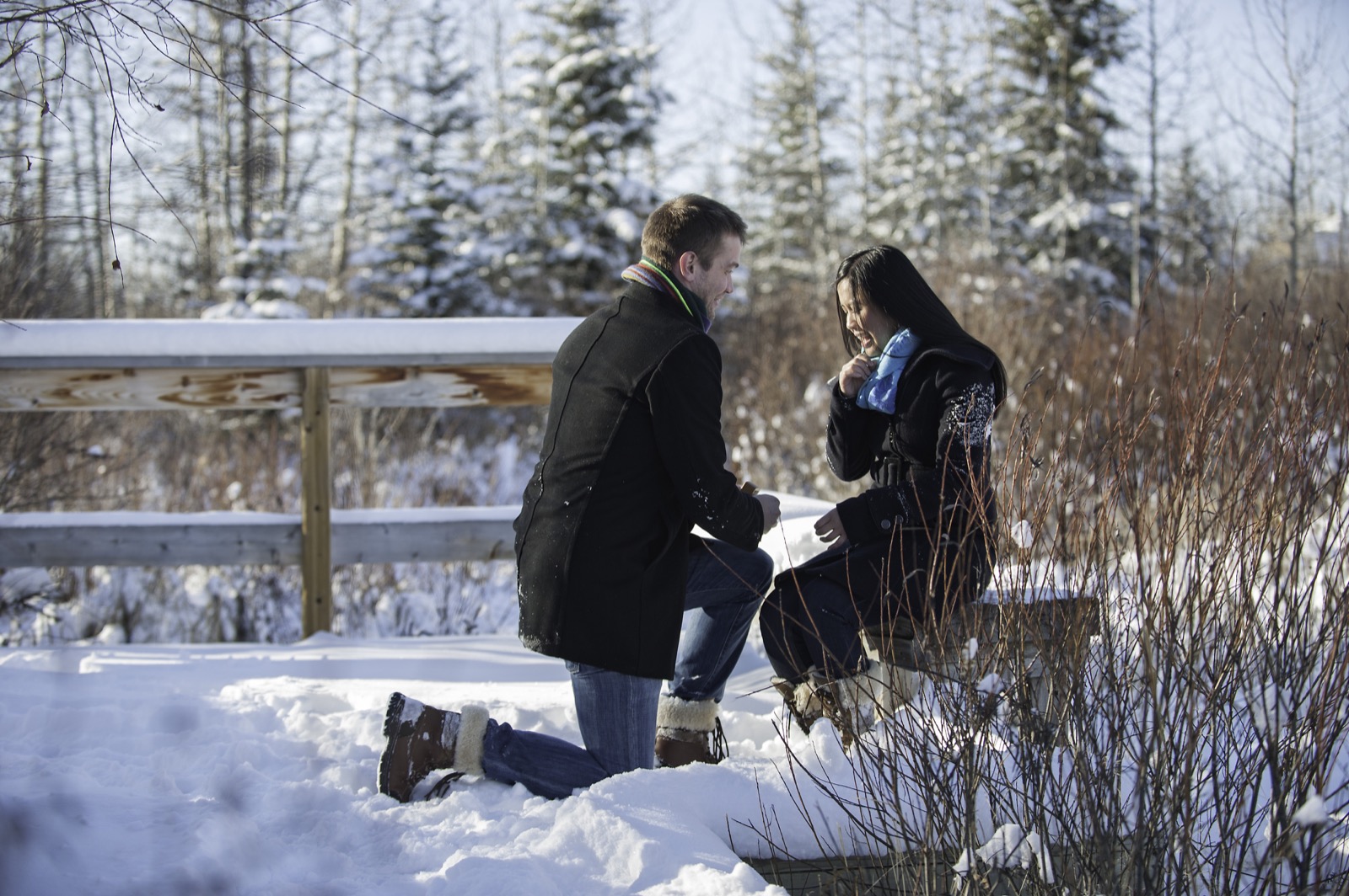 victoria-wedding-photographers-calgary-winter-engagement-proposal-15.jpg