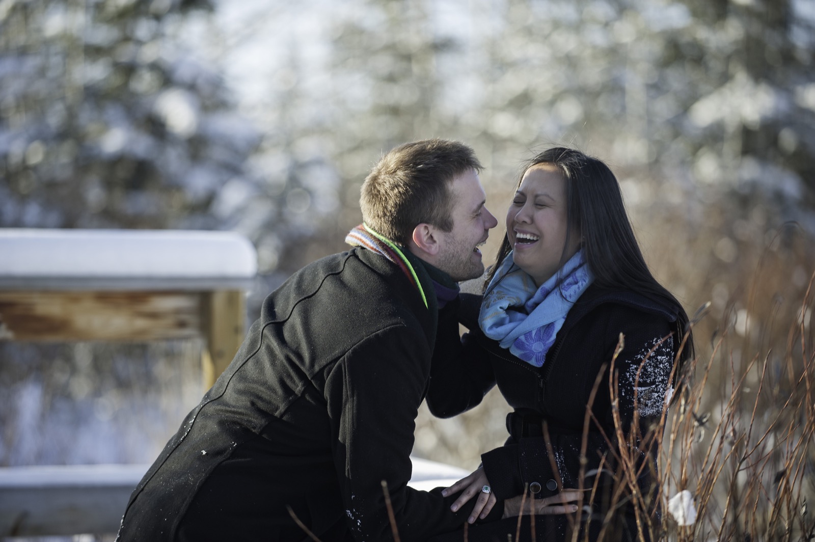 victoria-wedding-photographers-calgary-winter-engagement-proposal-18.jpg