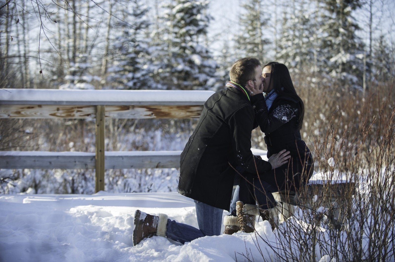 victoria-wedding-photographers-calgary-winter-engagement-proposal-20.jpg