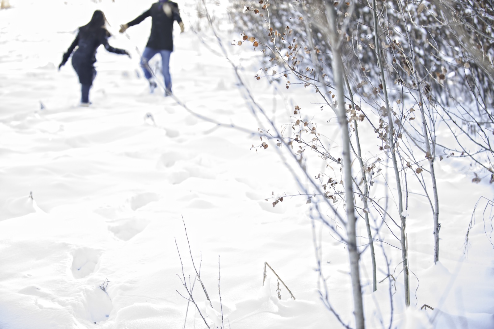 victoria-wedding-photographers-calgary-winter-engagement-proposal-46.jpg