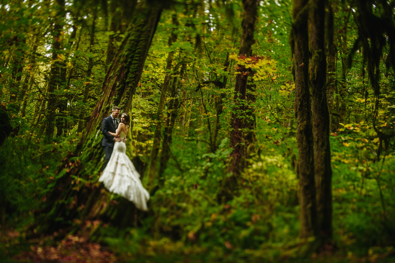 victoria-wedding-photographers-get-married-at-cheakamus-centre-45.jpg