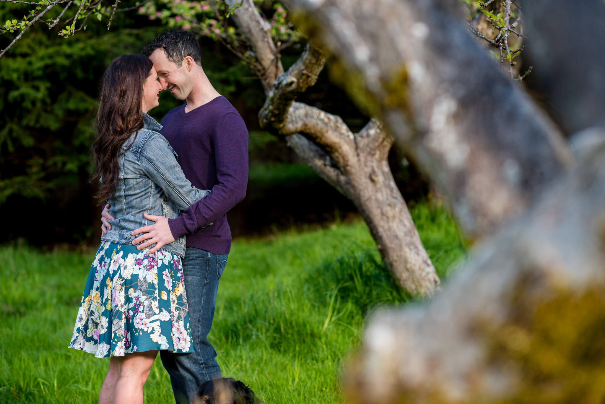 east-sooke-park-engagement-victoria-wedding-photographers-2.jpg