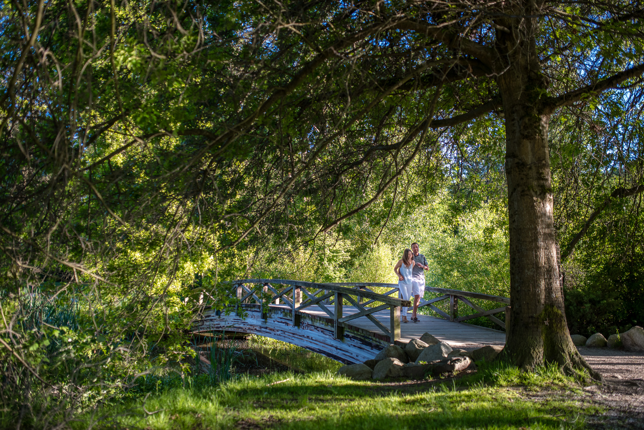 victoria-wedding-photographer-royal-vancouver-yacht-club-engagement-3.jpg