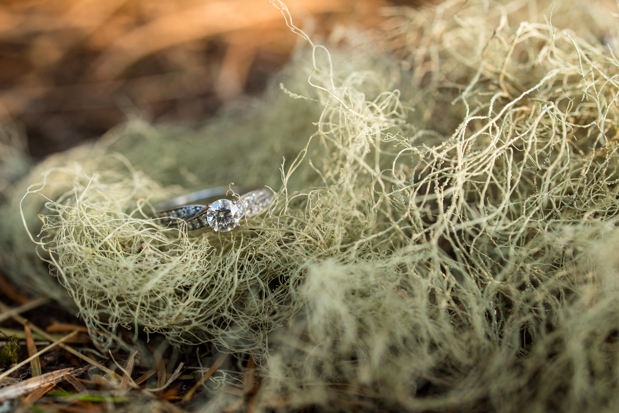 east-sooke-park-engagement-victoria-wedding-photographers-12.jpg