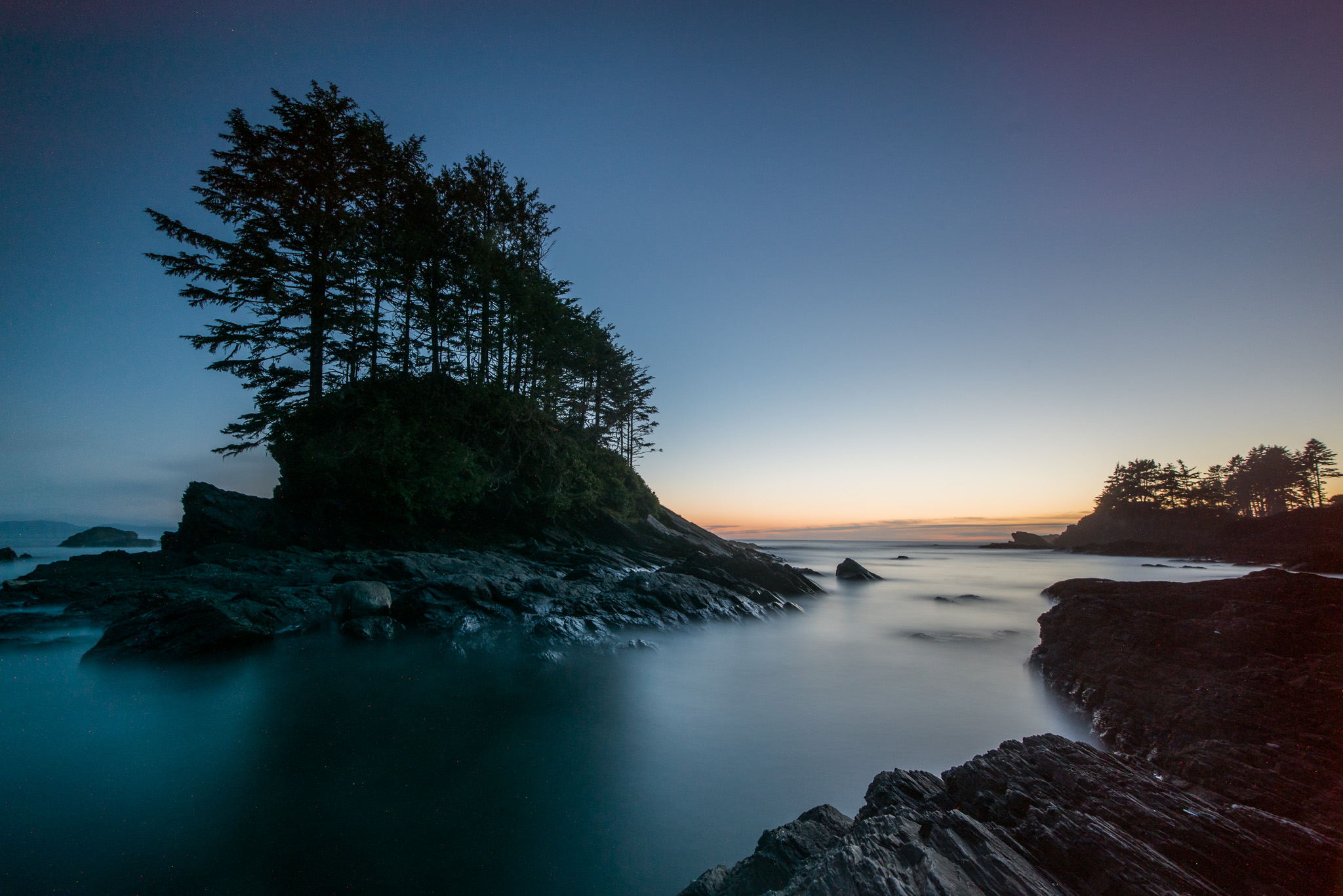 Botanical Beach near Port Renfrew. We had a GORGEOUS sunset on the evening we were down here, but unfortunately we weren't able to capture at its most ideal moment, because a BEAR wandered onto the scene! Still though.....this island makes an awesome subject. 