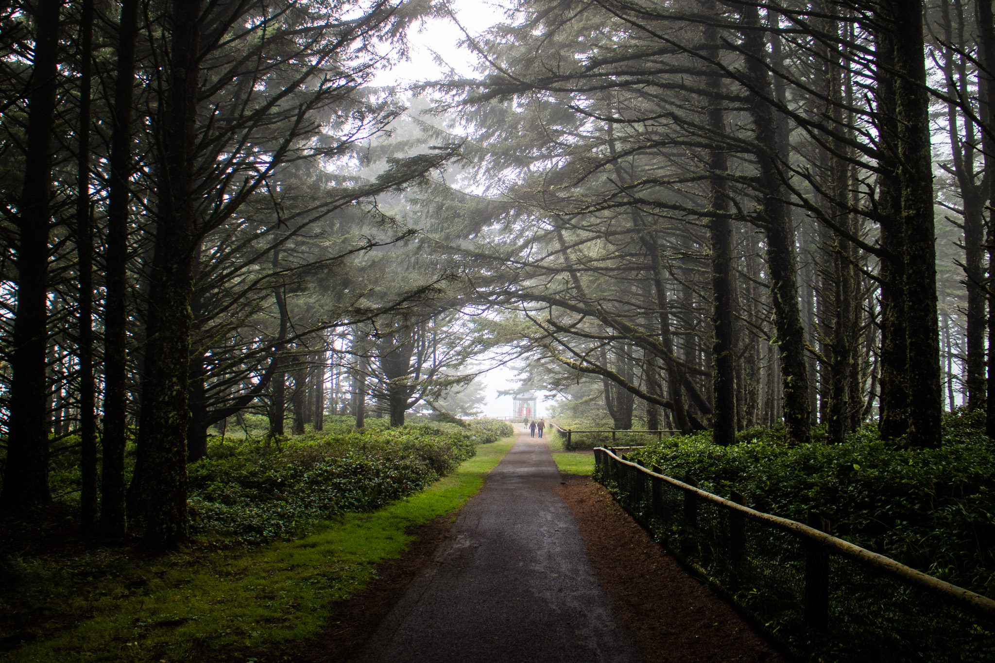  We were back into the heavy fog here, and it was SUPER windy!&nbsp; &nbsp;The pathway down to the lookouts.&nbsp;&nbsp; 