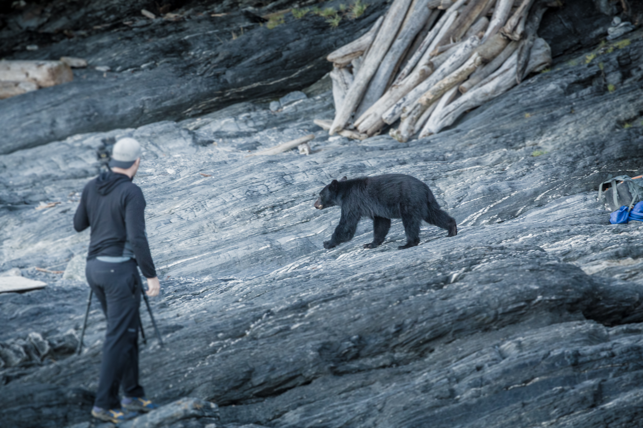  (This shot by Larryn, I am pictured in it).&nbsp; The bear we encountered crossed behind me on the beach, and showed a keen interest in our bags of photography gear.&nbsp; Larryn, being from the land of NO natural predators, was particularly fascina