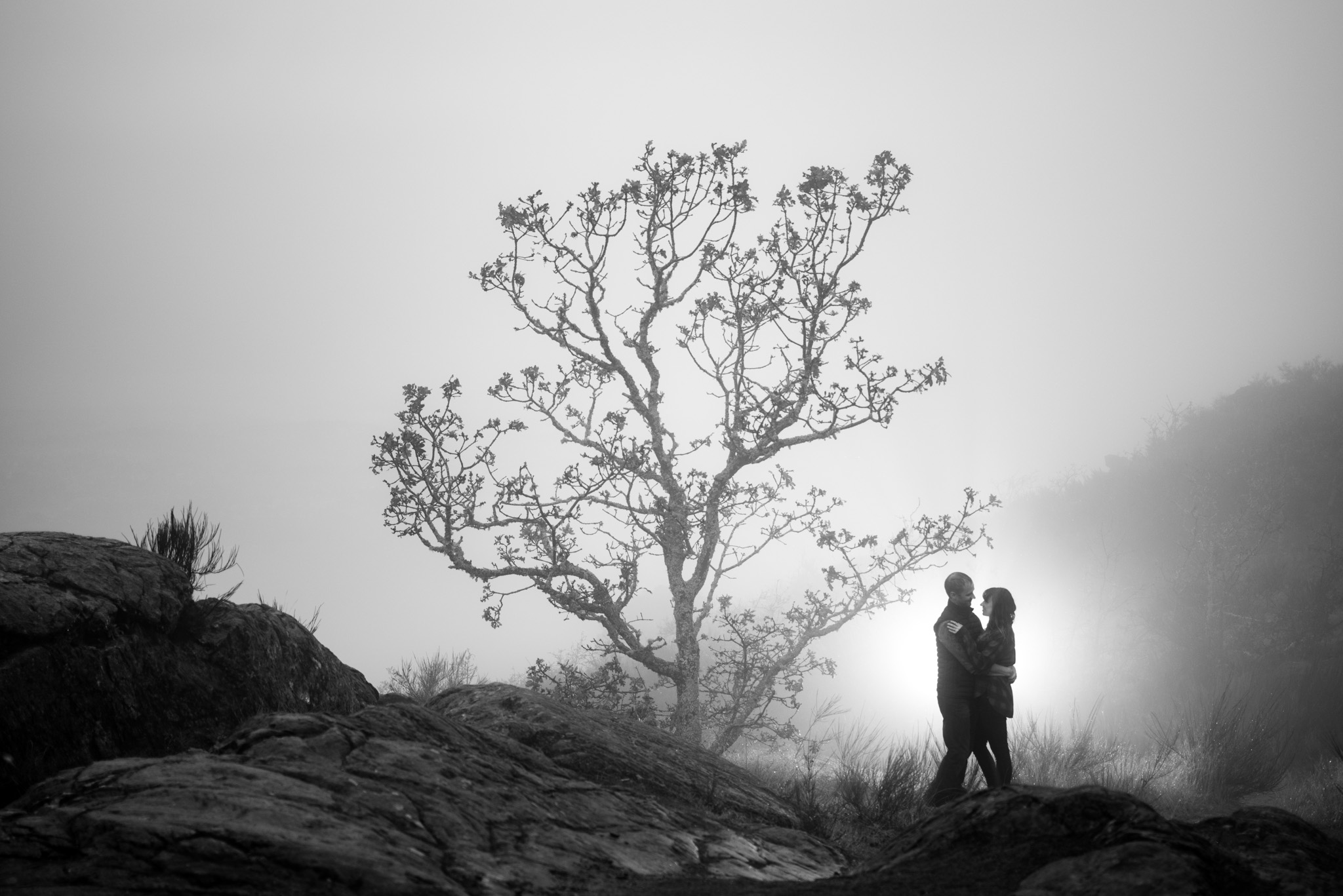 victoria-wedding-photographer-mount-douglas-engagement-19.jpg