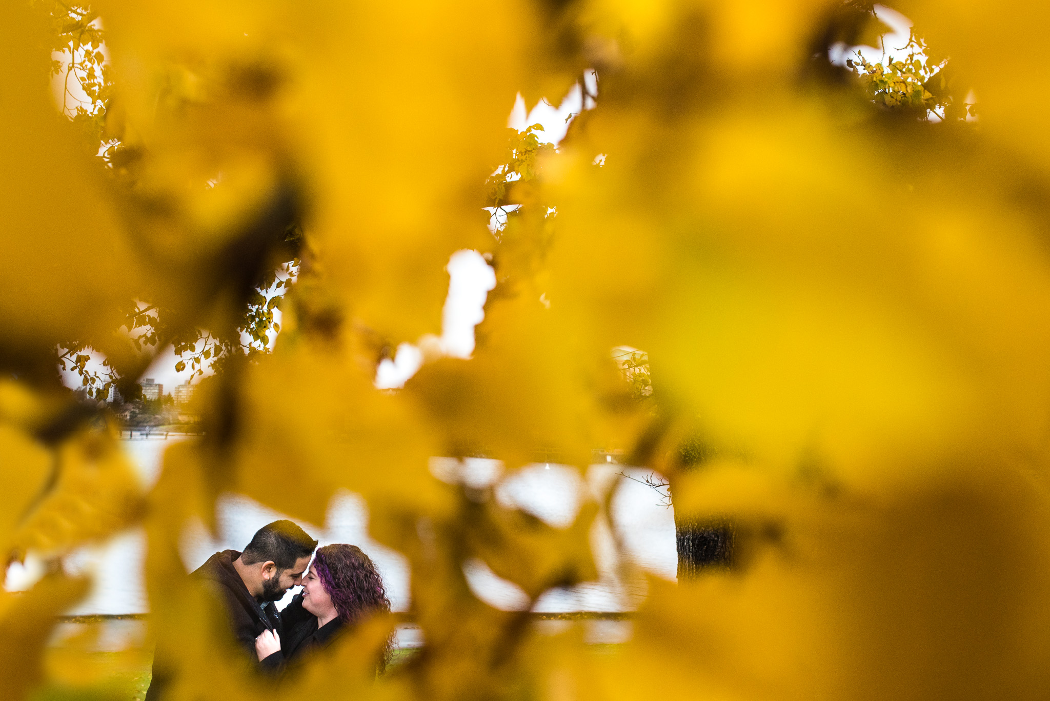 victoria-wedding-photographers-laurel-point-bastion-square-engagement-3.jpg