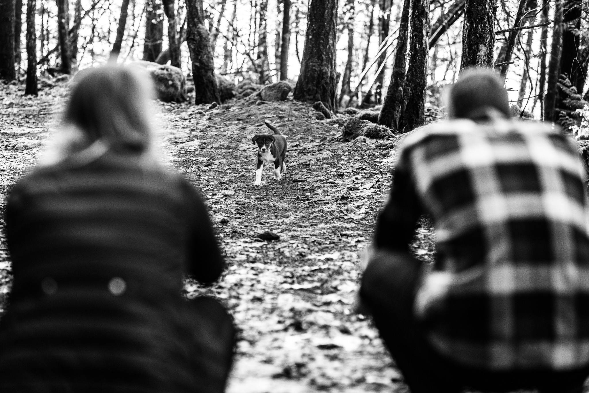 victoria-wedding-photographers-mckenzie-bight-engagement-todd-gowland-park-1.jpg