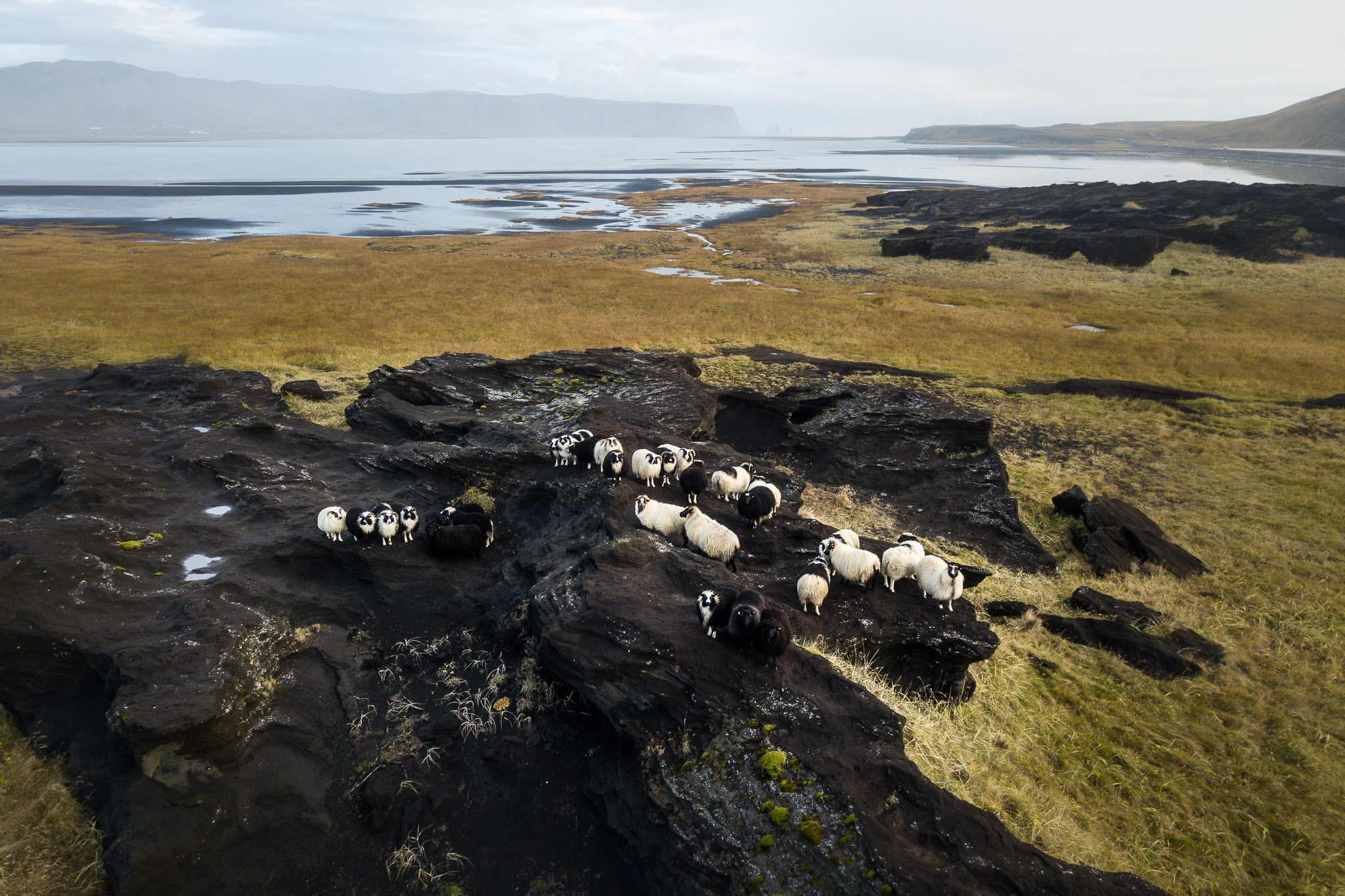 iceland-elopement-photographers-victoria-wedding-photographers-travel-iceland-30.jpg