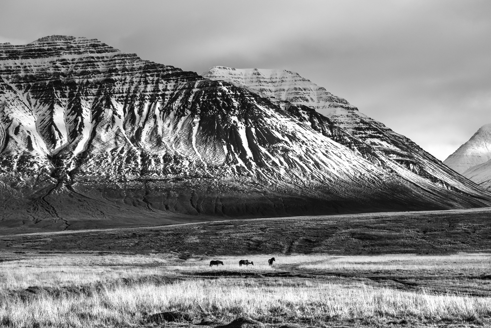 iceland-elopement-photographers-victoria-wedding-photographers-travel-iceland-59.jpg