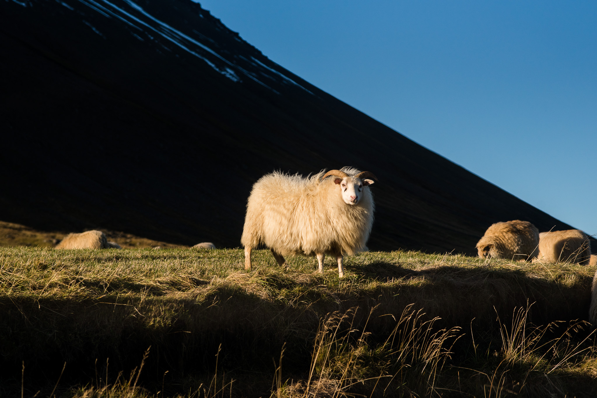 iceland-elopement-photographers-victoria-wedding-photographers-travel-iceland-62.jpg