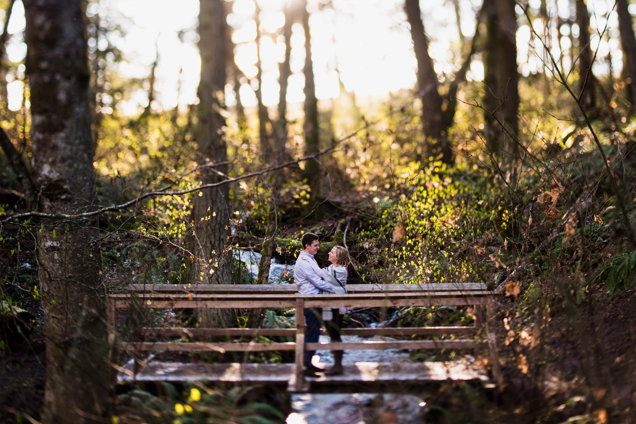 victoria-wedding-photographers-devonian-regional-park-engagement-3.jpg