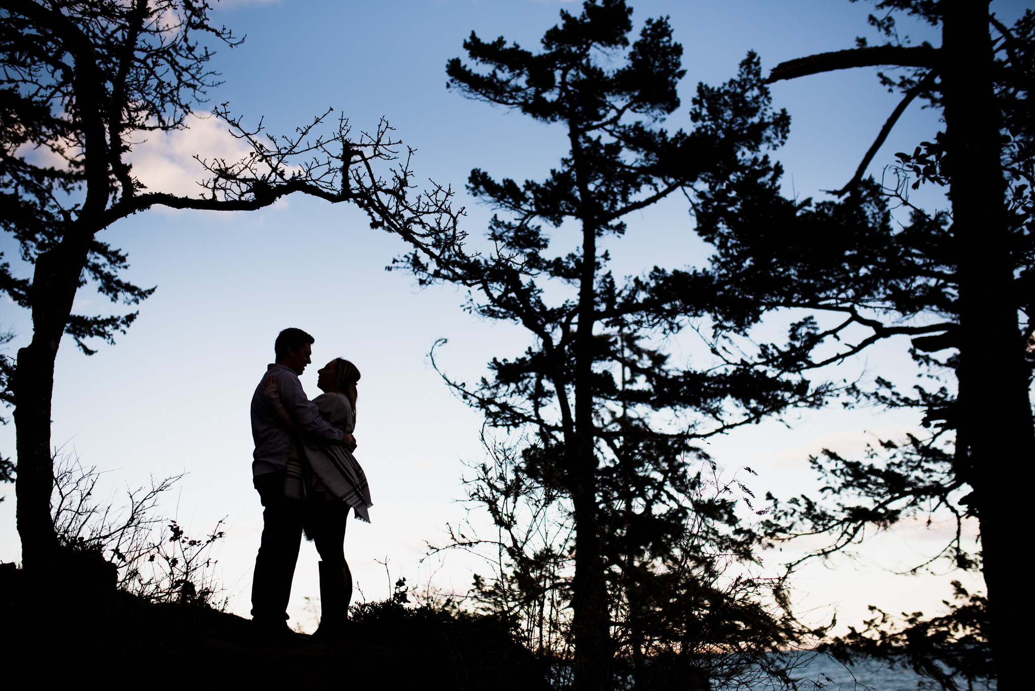 victoria-wedding-photographers-devonian-regional-park-engagement-4.jpg