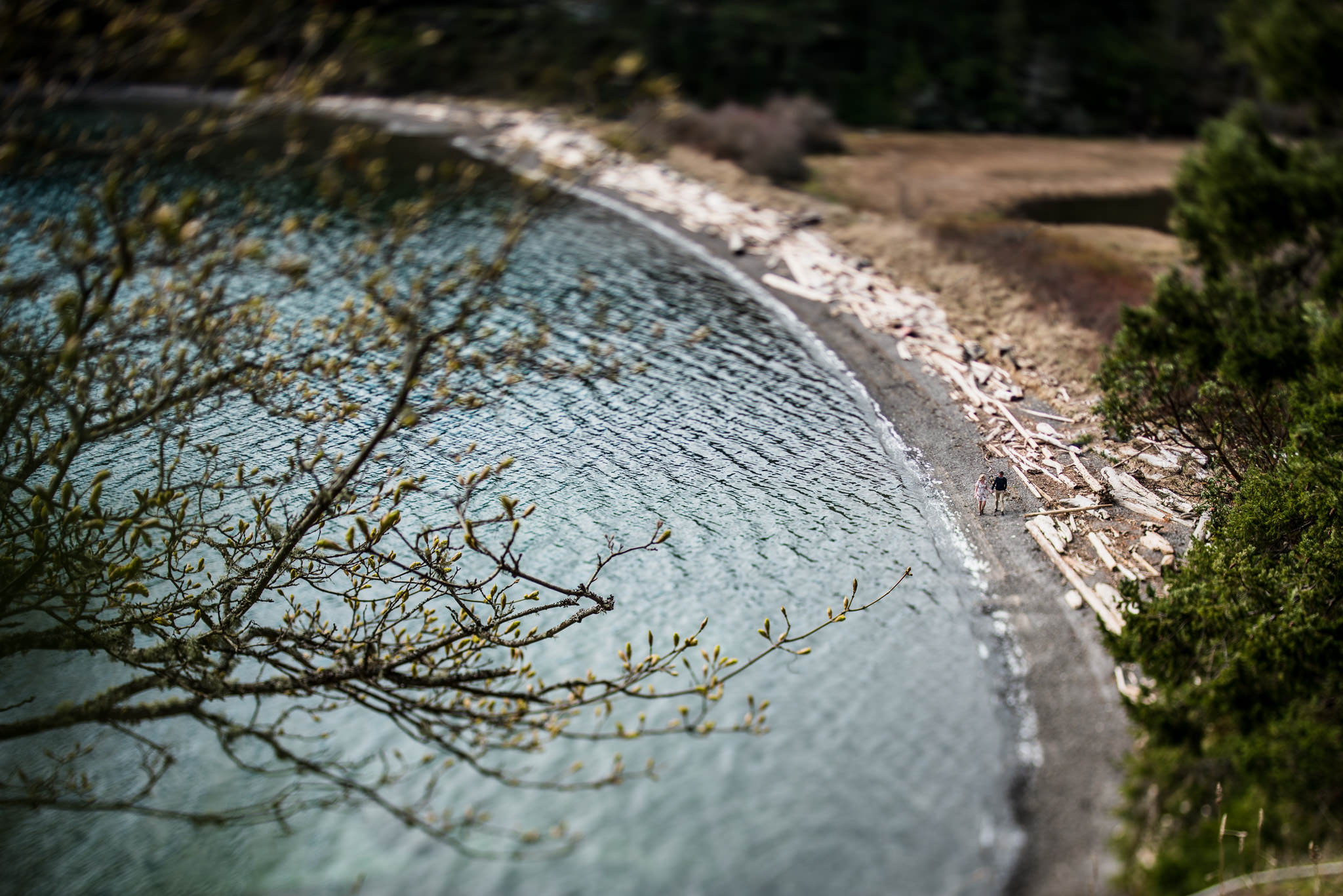 victoria-wedding-photographers-pender-island-engagement-photos-14.jpg