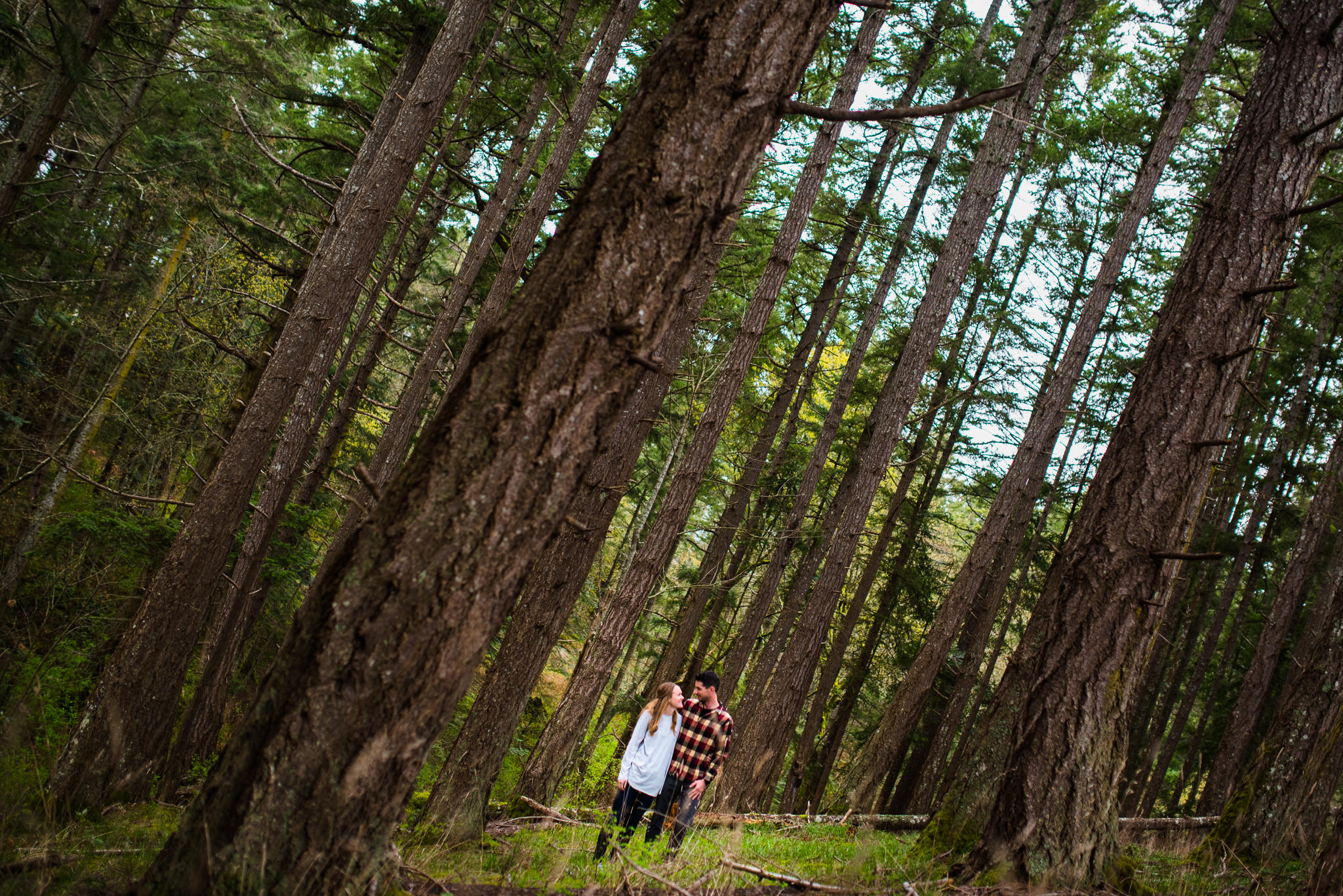 victoria-wedding-photographers-devonian-regional-park-engagement-photos-2.jpg