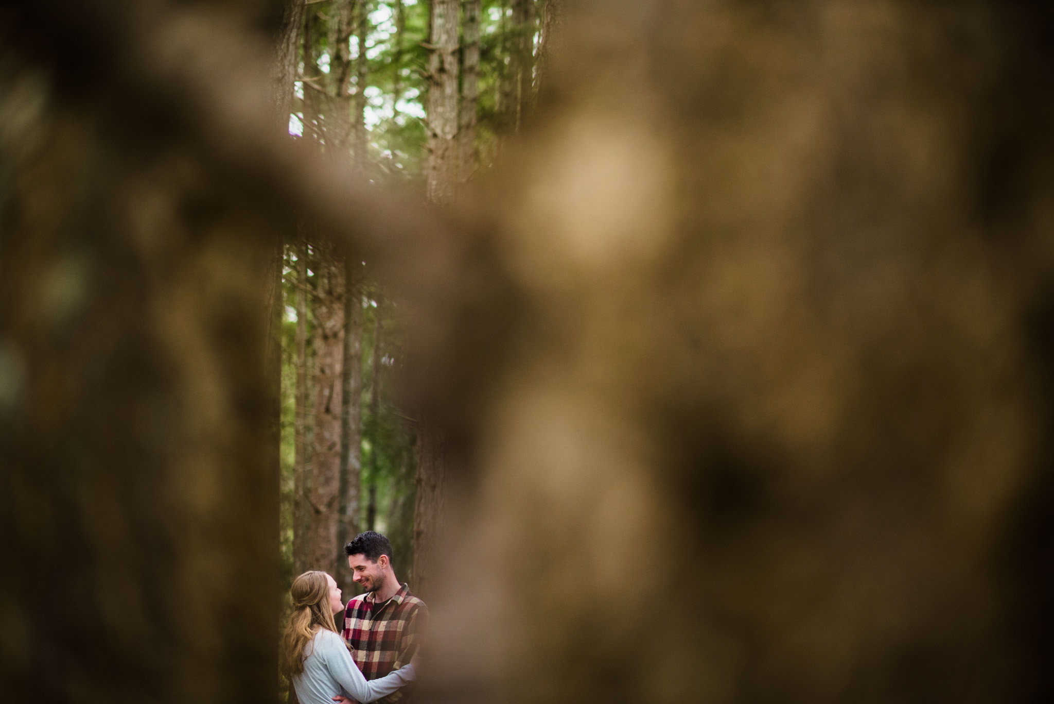 victoria-wedding-photographers-devonian-regional-park-engagement-photos-3.jpg