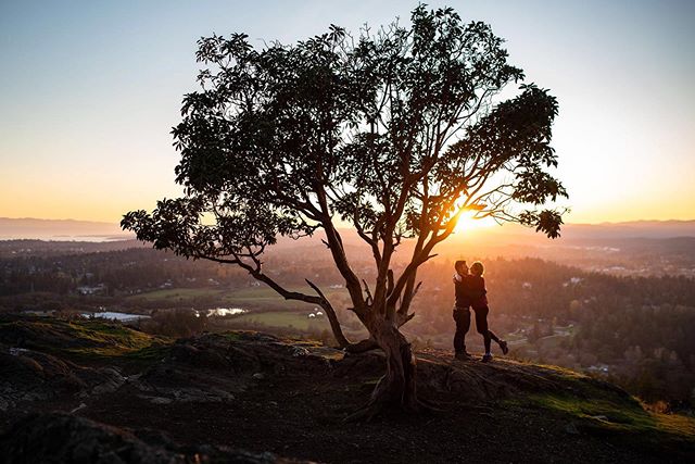 I wanted to write some thoughtful caption for this photo but what could I even say that could compare to how perfect this evening with Jennifer and Nikolaus was...