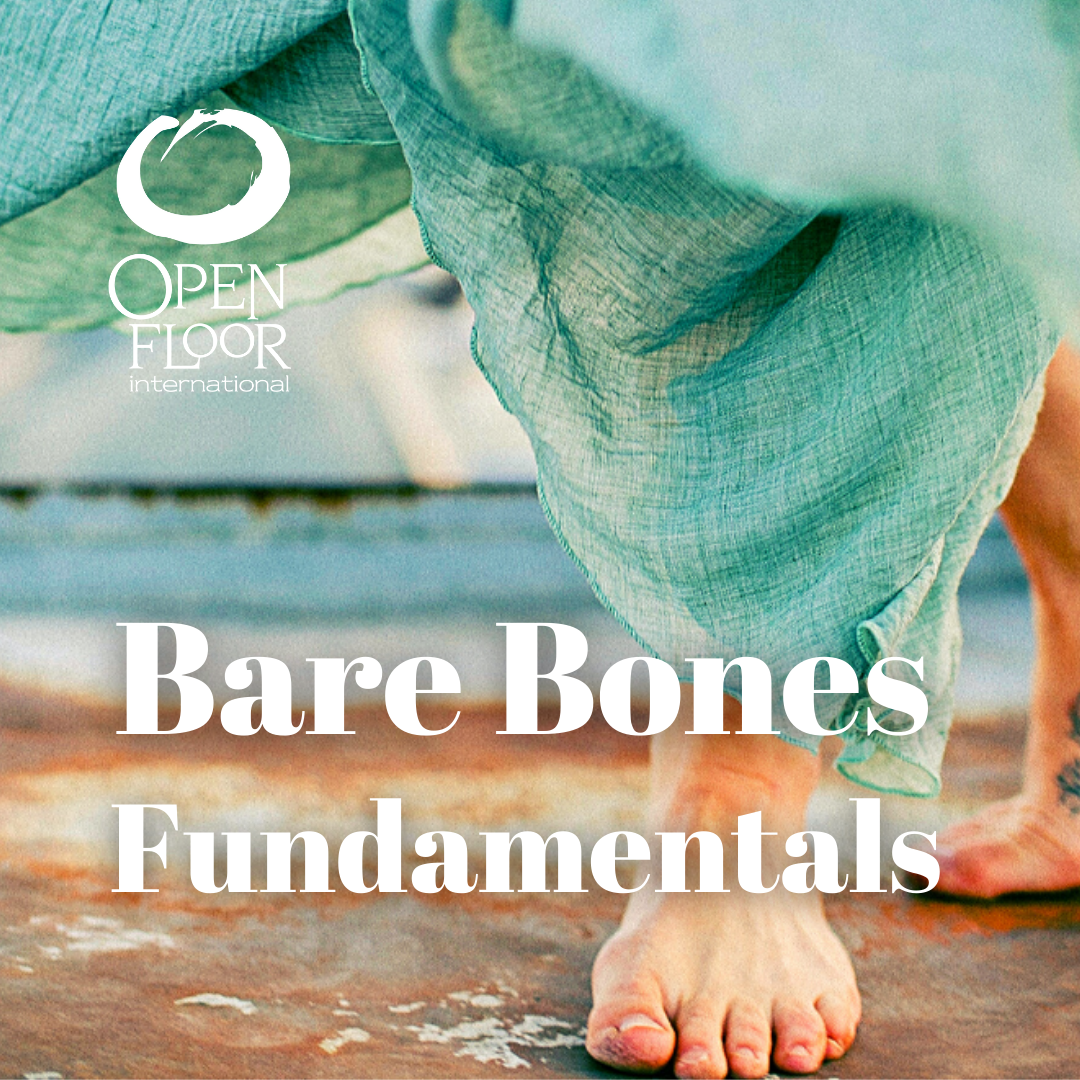 Bare Bones Fundamentals • Conscious Dance Workshop