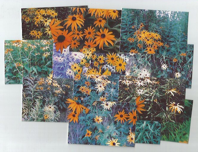 mom's susans
