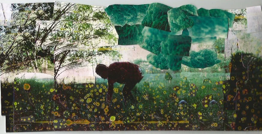 G and the daisies