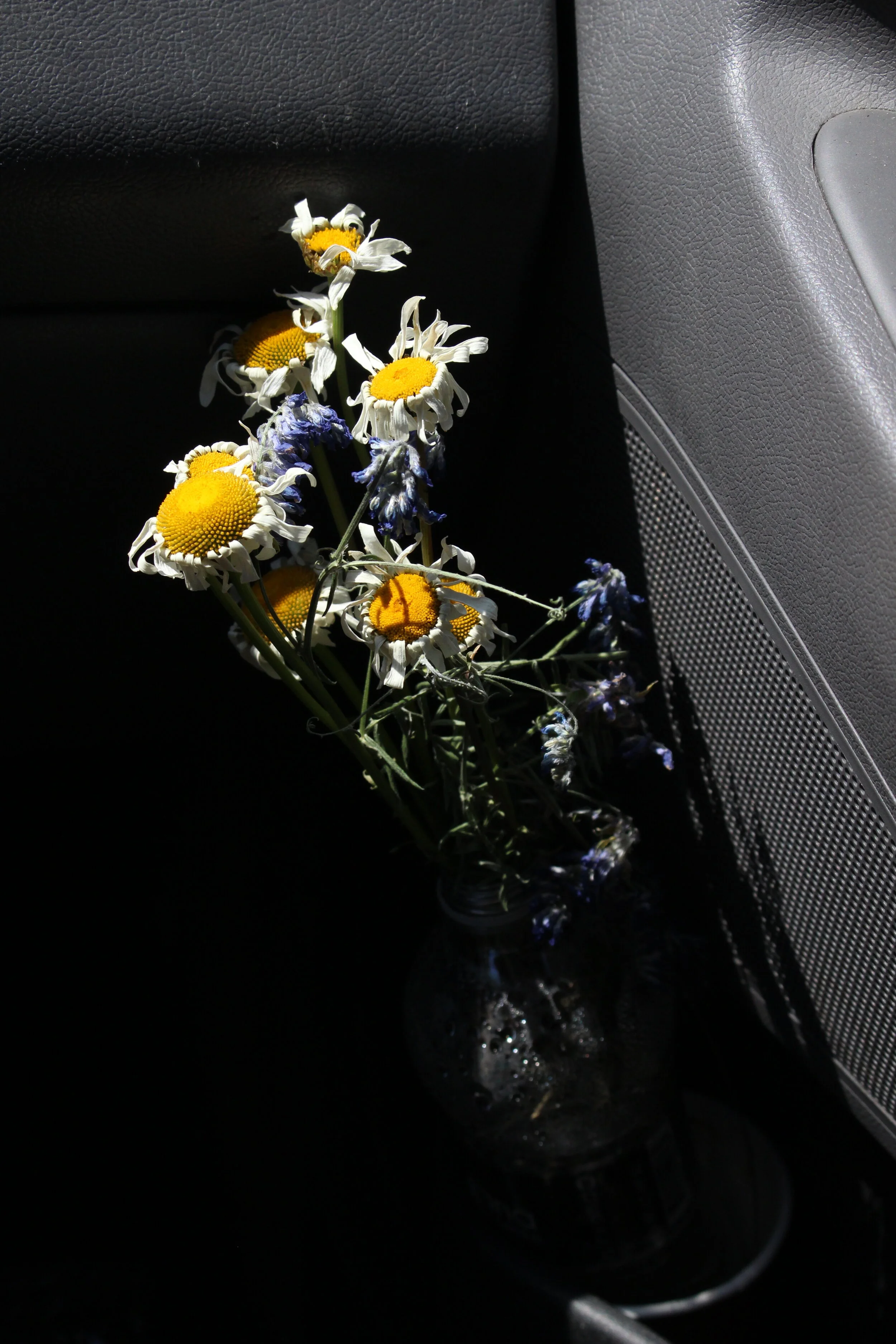 car flowers