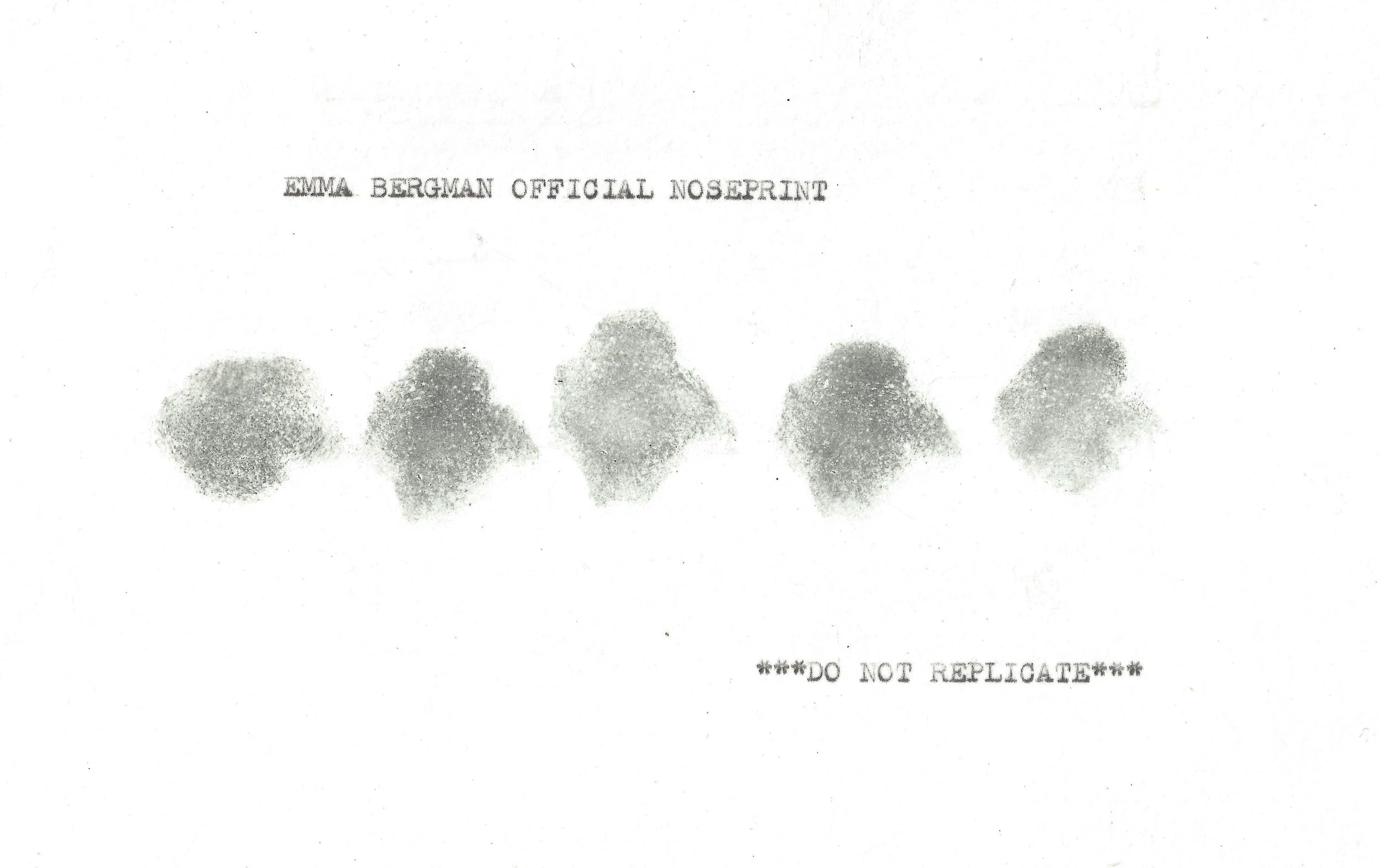 Noseprint (2019), nose and ink on paper, 6inx8in