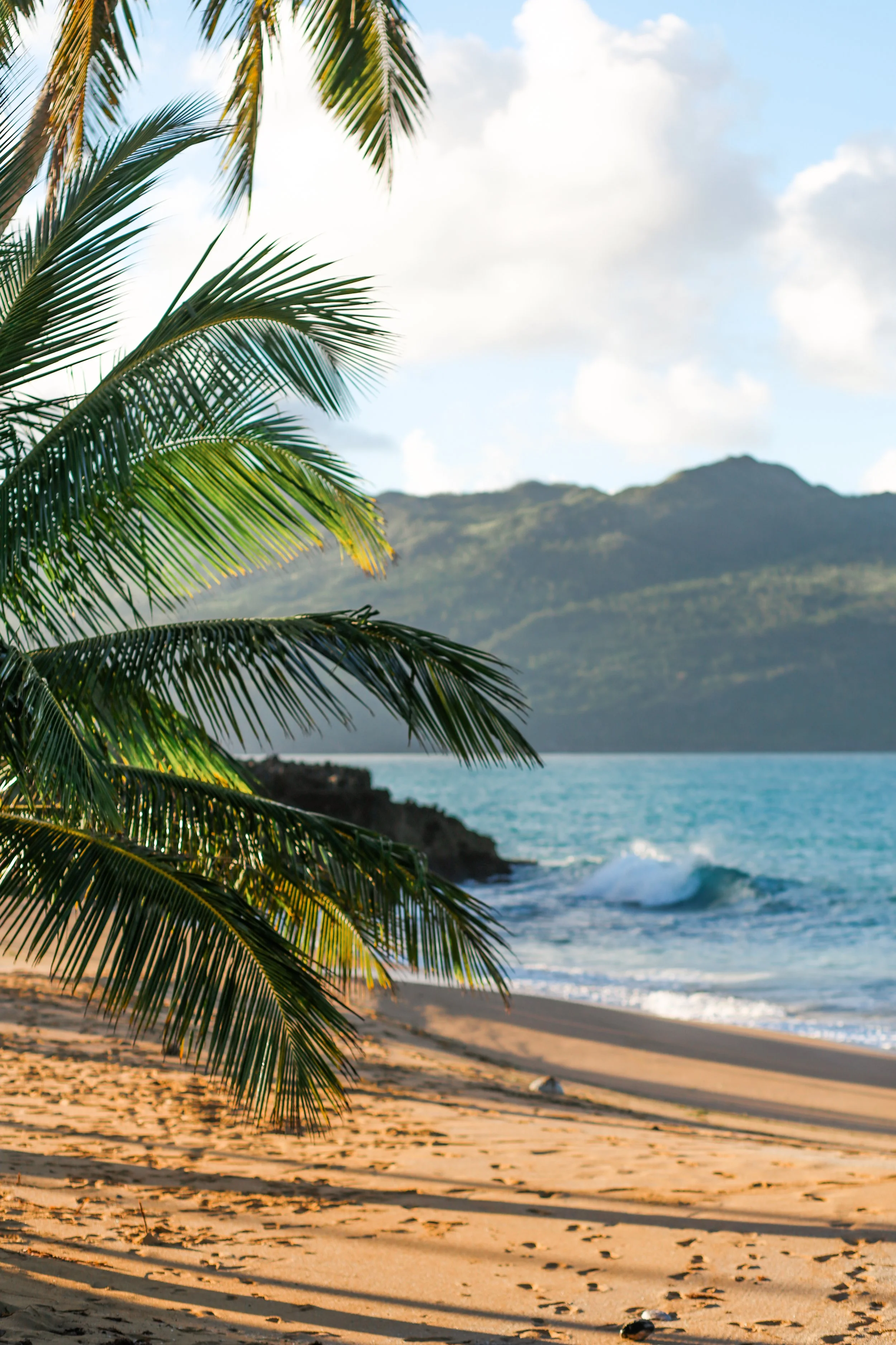 Dominican Collection