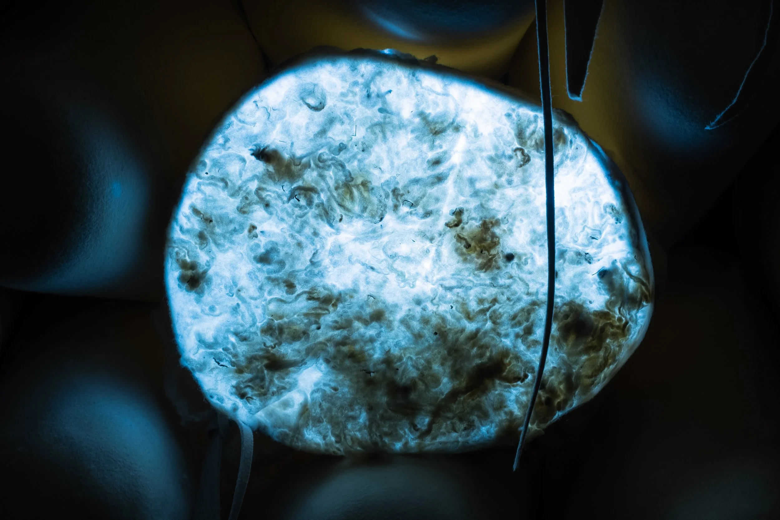 Semana 491_1 Territorios (re)imaginados: tecnologías, conjeturas, ficciones