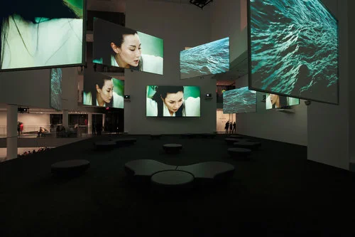 isaacjulien_ttw_2.jpg
