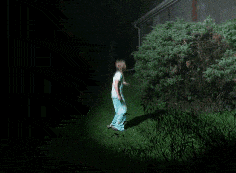 tumblr_lcmj3zAOV01qdskqoo1_500.gif