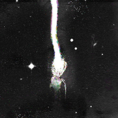 tumblr_m67n3ekaPr1qdskqoo1_500.gif