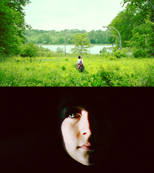 Face and forest