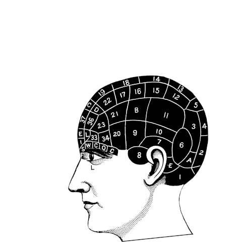 Feed the head_Eric Edelman