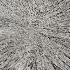 AYGEETHOMPSON+iauei.gif