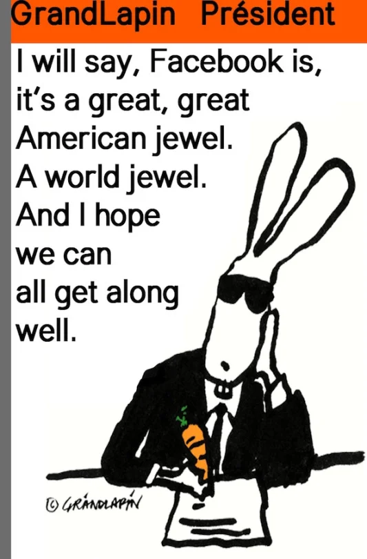grandlapin2.jpg
