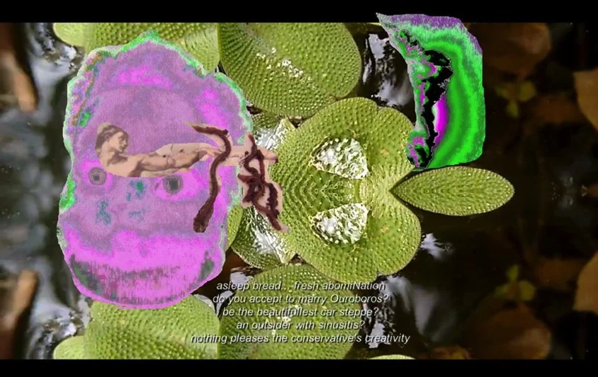 SpiritualBarebacker AbomiNação Freskiña 