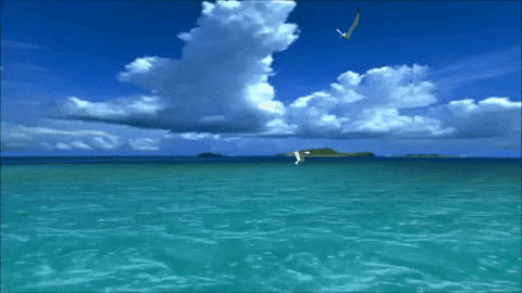 Post-human wanderings