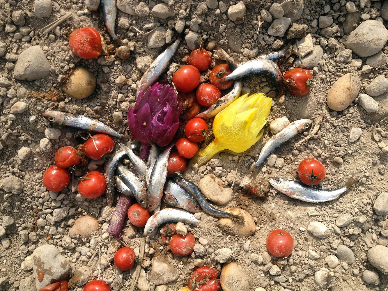 Materia prima_Lucia Leuci