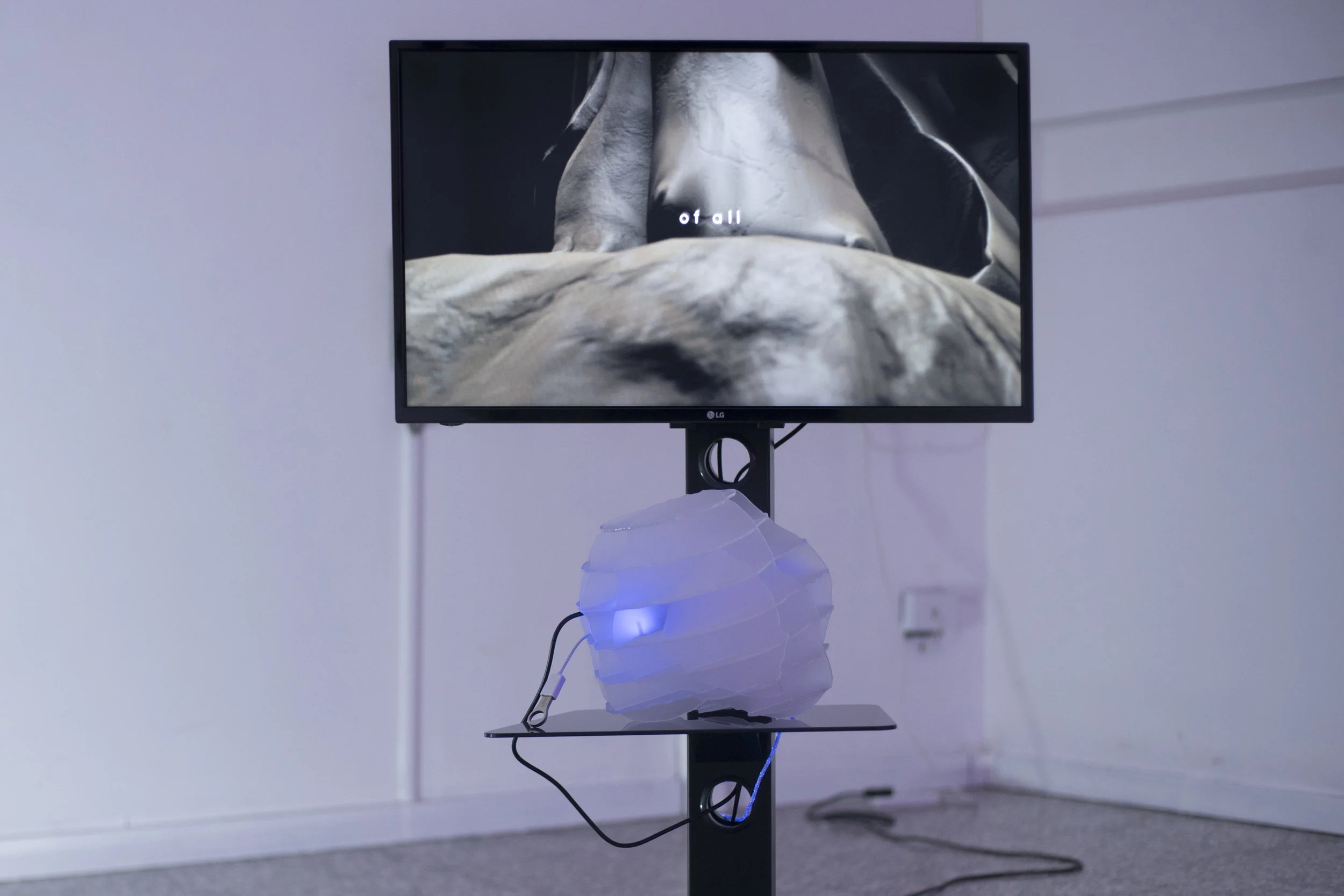 Anne De Boer, I am breathing, 2016, ongoing series, detalle